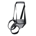 Grey neoprene dog recovery belt wrapped around a dog's waist and thigh for rear leg support.