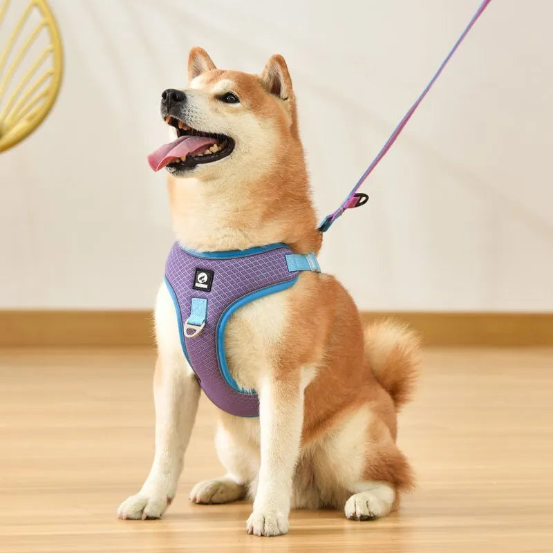 Adjustable breathable mesh dog harness with reflective piping in black, red, gray, or light purple