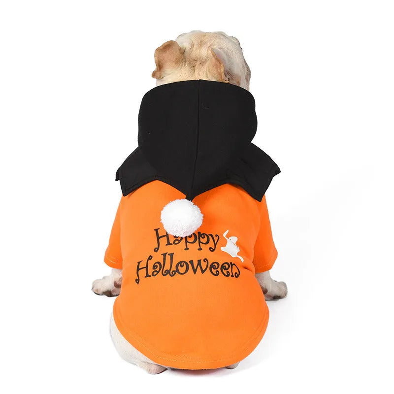 Black and orange pumpkin themed two-piece dog costume with sweater and shawl