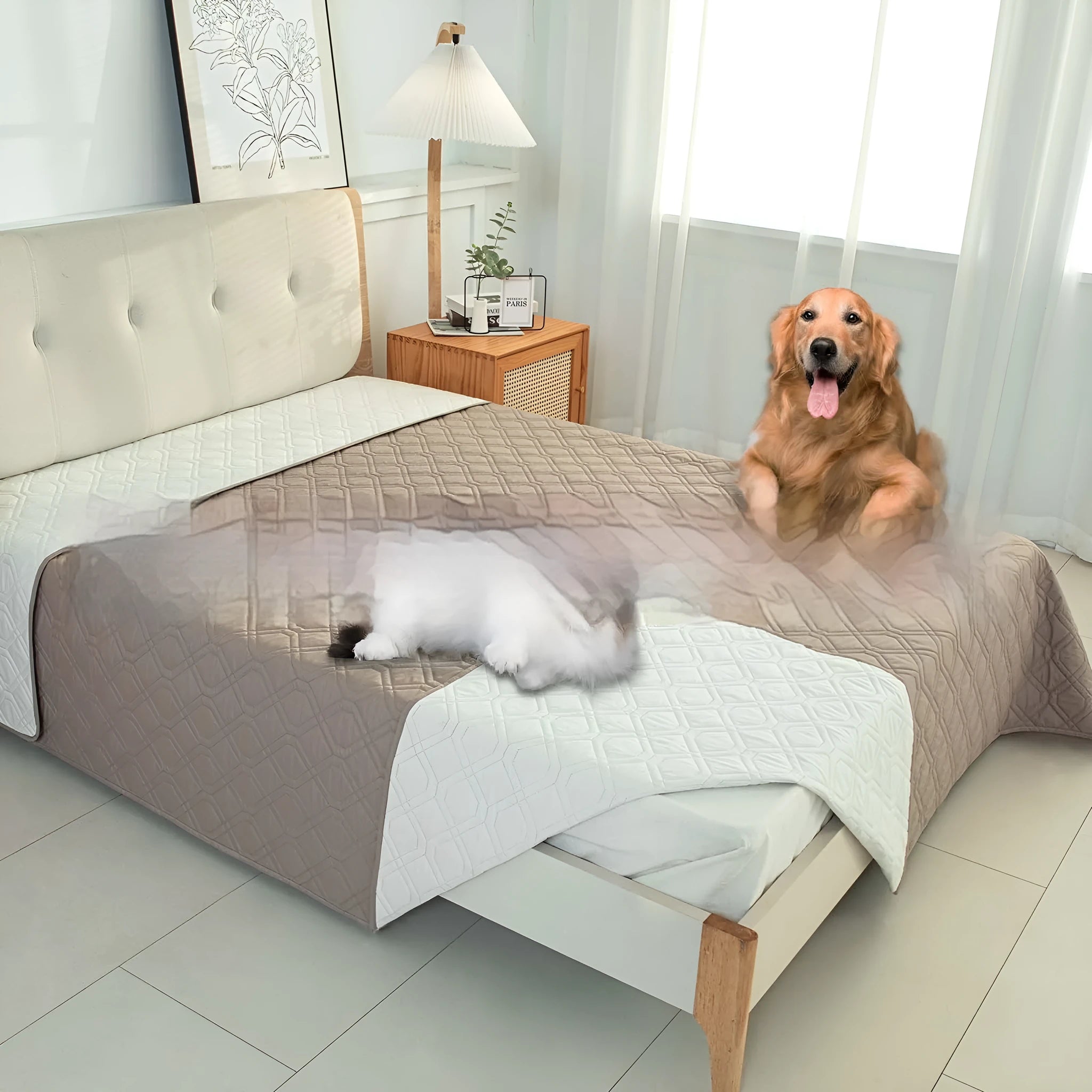 Double-sided waterproof pet sofa cushion showing reversible contrast colours in two colour options
