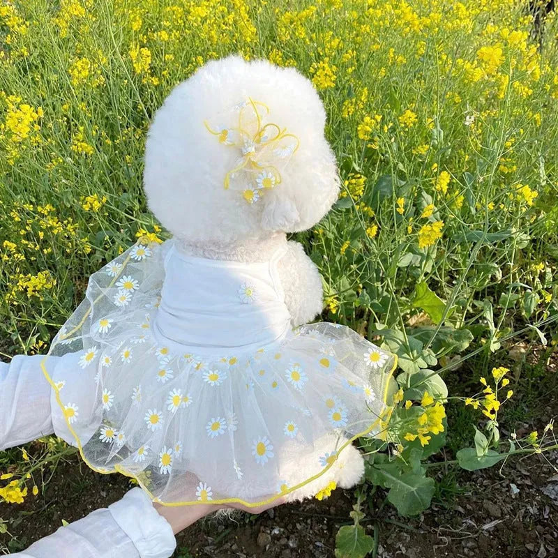 Yellow daisy pattern dog clothes on pet, lightweight polyester summer outfit