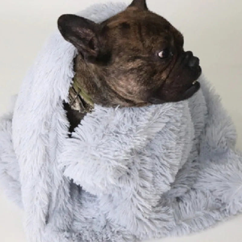 Soft plush pet blanket in dark grey for dogs and cats on wooden floor