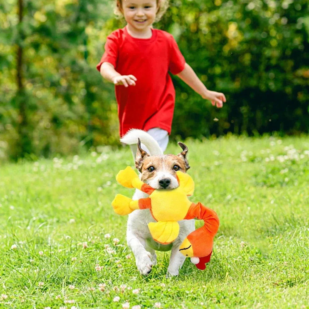 Screaming chicken dog toy in black, green or orange colours with squeaker