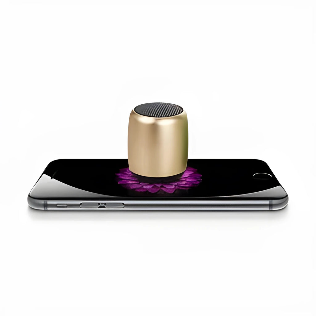 Portable mini Bluetooth wireless speaker in black, blue, gold, or pink colour