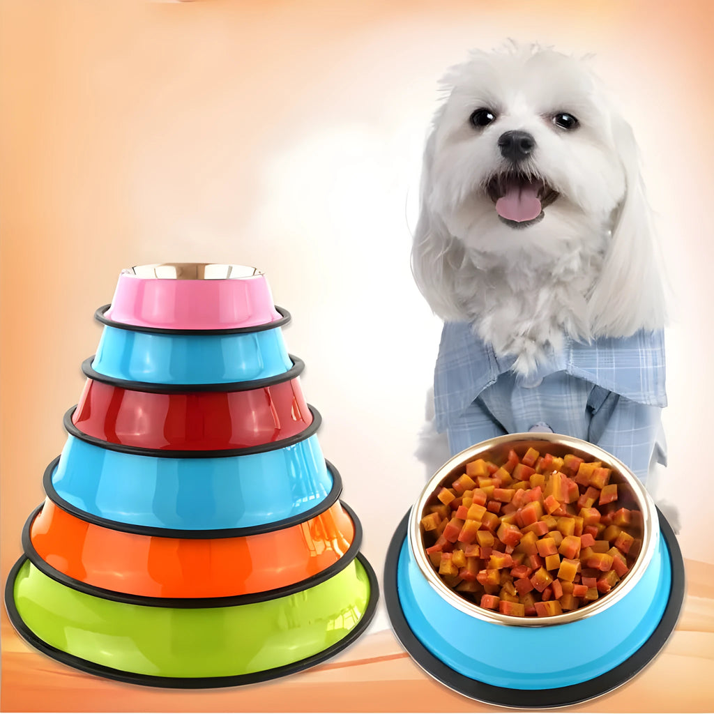 Stainless steel and colourful melamine dual pet feeding bowl with non-slip rubber base