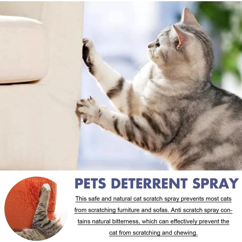 50ml pet training spray bottle boxed for furniture protection against scratching