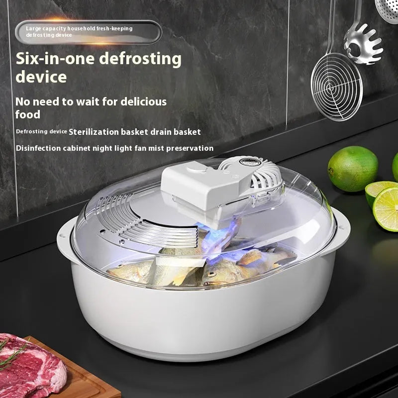 Aluminium quick defrosting plate with separate control unit for thawing frozen foods