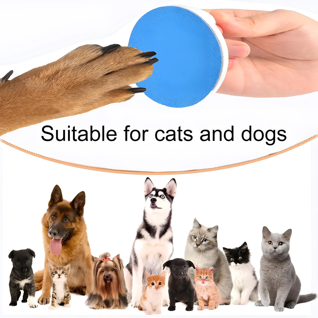 Round blue dog nail file board with ergonomic handle on a table.