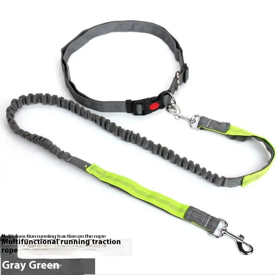Grey and green reflective elastic dog leash with 2.5cm nylon width and clip attachment