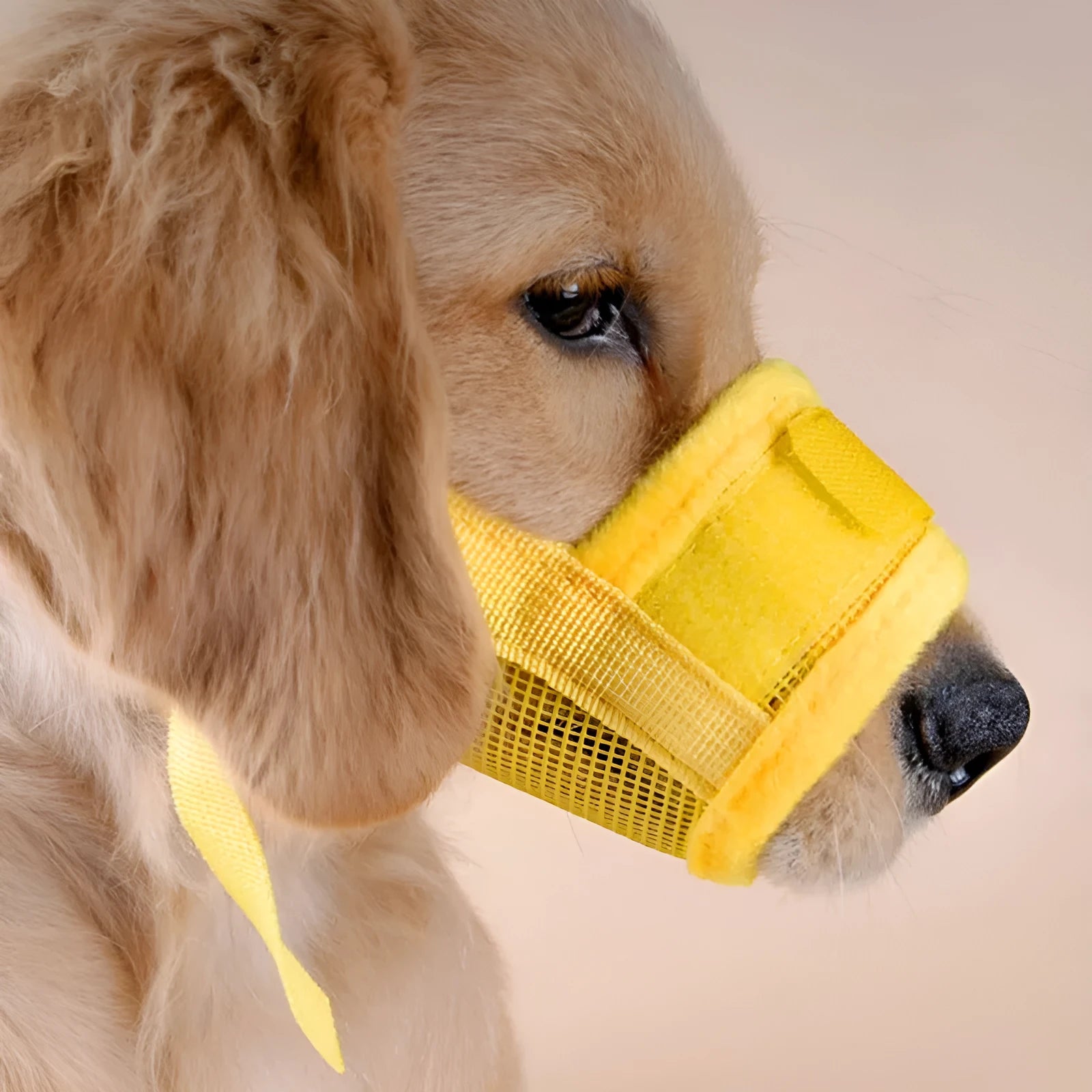 Adjustable breathable mesh pet muzzle with Velcro fastening and ABS grip in black colour