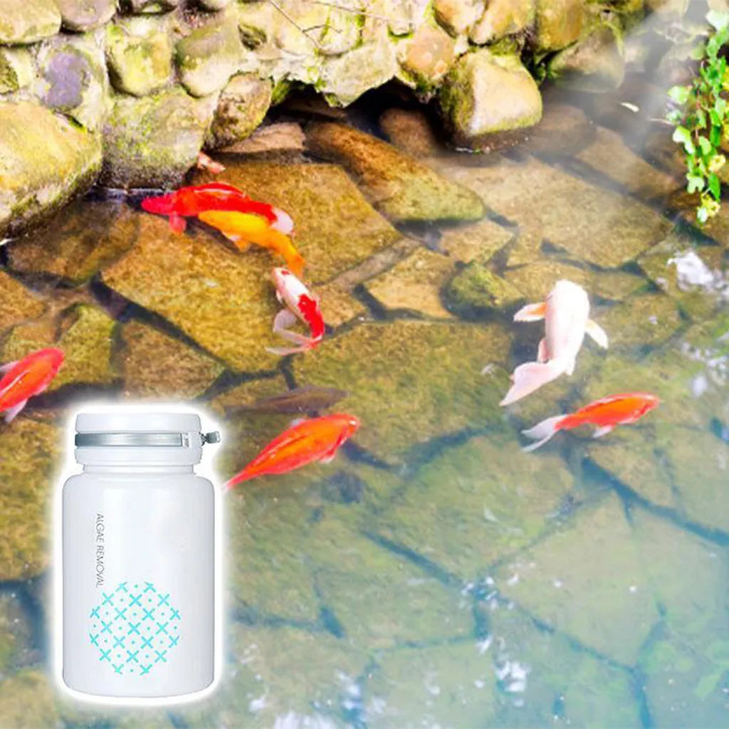 50g pool algaecide treatment for swimming pool algae control and water quality purification