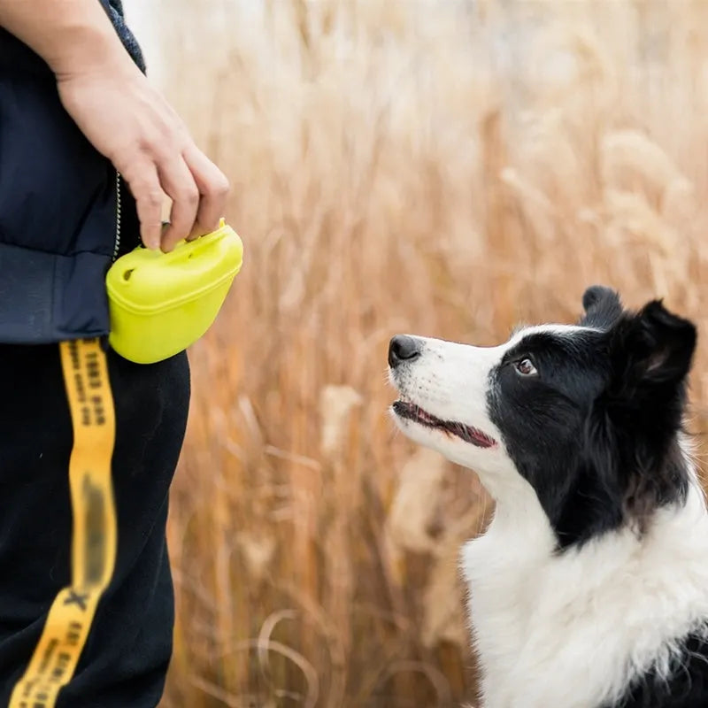 Silicone dog treat training bag with clip for belt attachment and magnetic closure