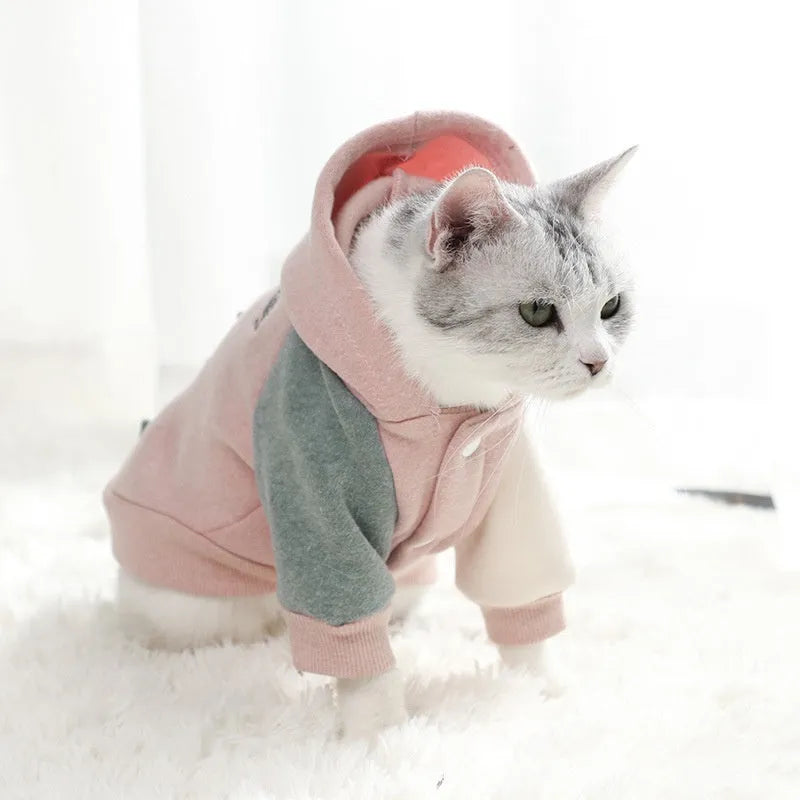 Brown cotton pet sweatshirt for a dog, showing casual leisure style.