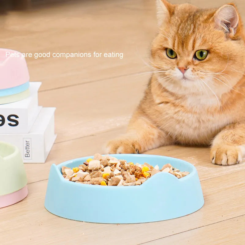 Blue ceramic dog slow feeder bowl with maze pattern for slowing down fast-eating dogs.
