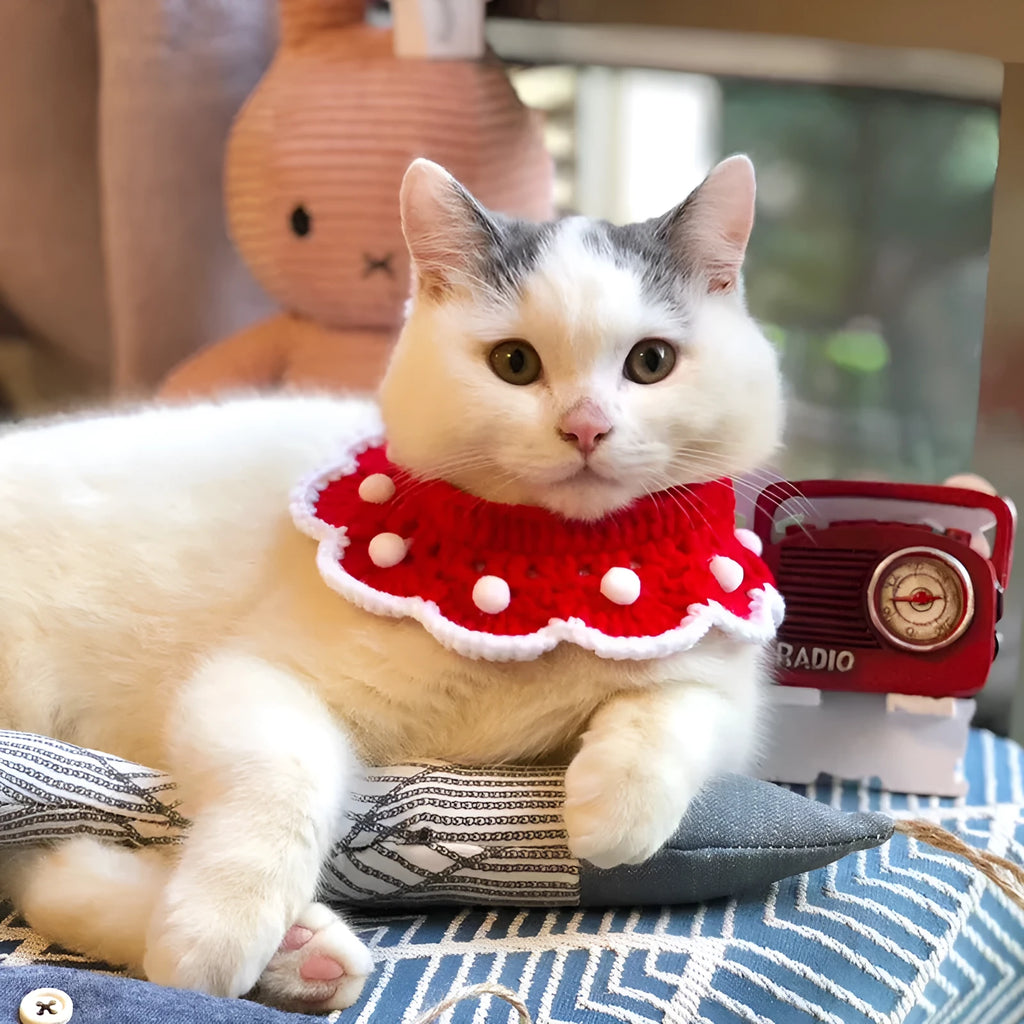Knitted pet collar in milk cotton with cartoon pattern, showing customisable colour options and size variations