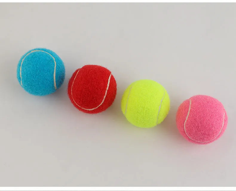 Bite-resistant rubber dog tennis ball in 6.3cm size showing multiple colour options