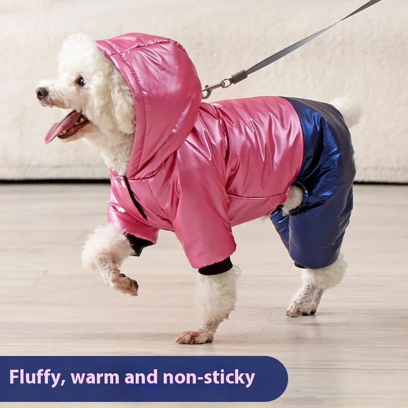 Green waterproof cotton dog coat with four-legged design on medium-sized dog