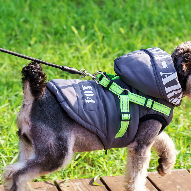 Red fleece-lined waterproof dog winter jacket with hood on a medium-sized dog
