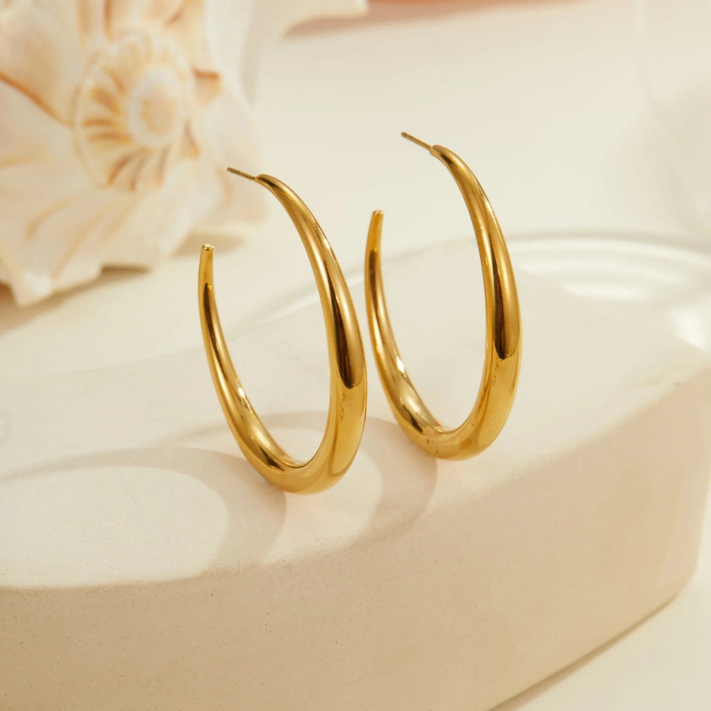 Titanium steel hoop earrings with geometric round design in gold and steel colour options