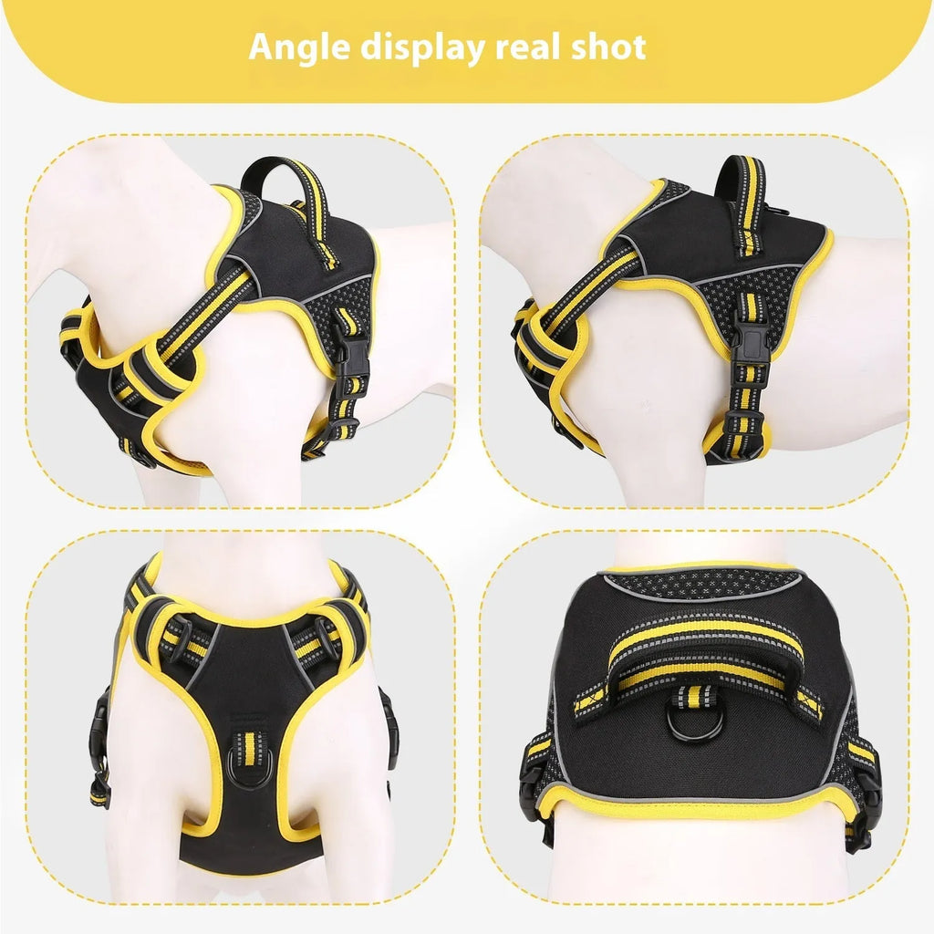 Orange polyester dog harness with metal buckle shown on adjustable strap for outdoor walking