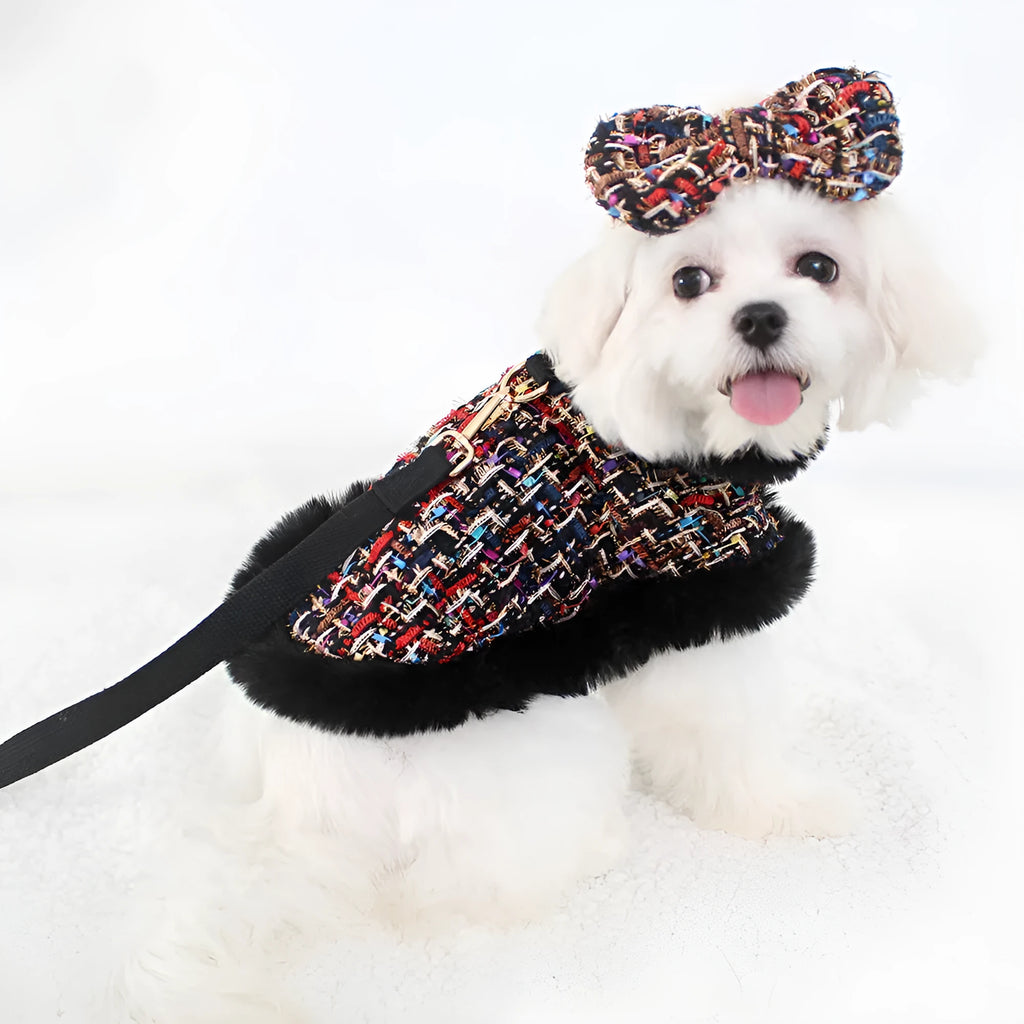 Dog wearing classic cloak-style chest harness with hand-holding rope leash in cloth material