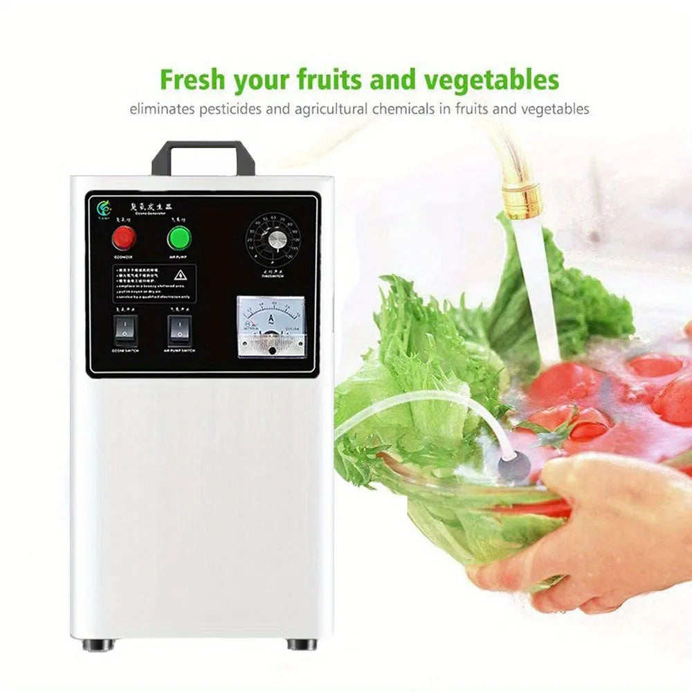 Ozone generator machine for fruit and vegetable treatment with 20g/h output and air-cooled operation