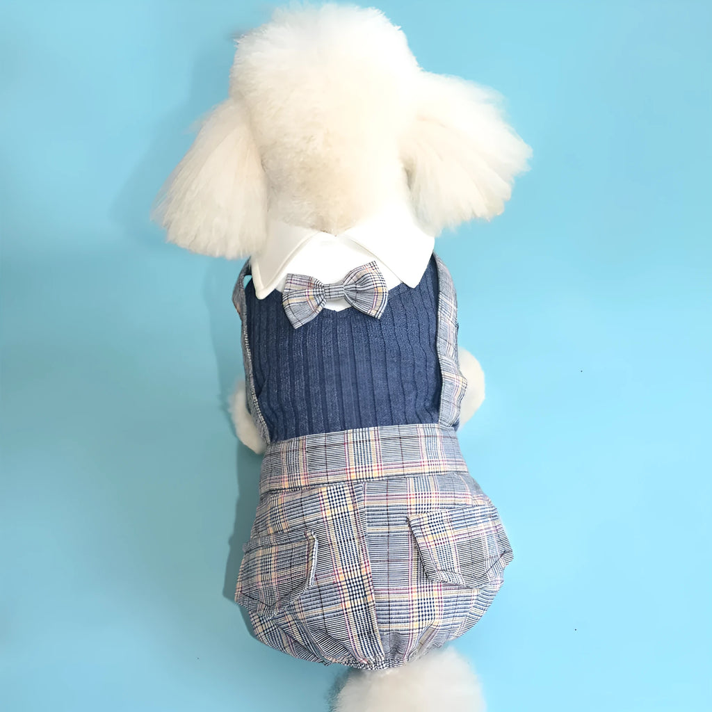 Cotton dog shirt with suit collar design in orange and dark blue colours
