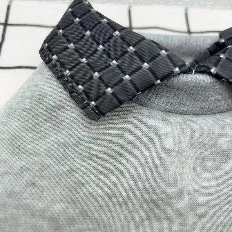 Grey two-piece dog sweater with detachable collar hoodie on a pet model