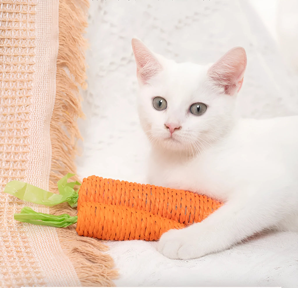 Interactive cat toy set with carrot paper toys, ringing stones, and textured grinding sticks for indoor play