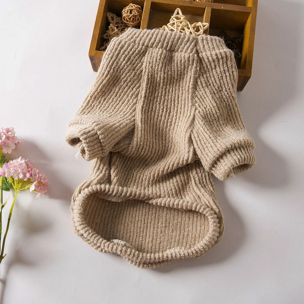 Brown cloth pullover sweater on a small dog, showing casual style.