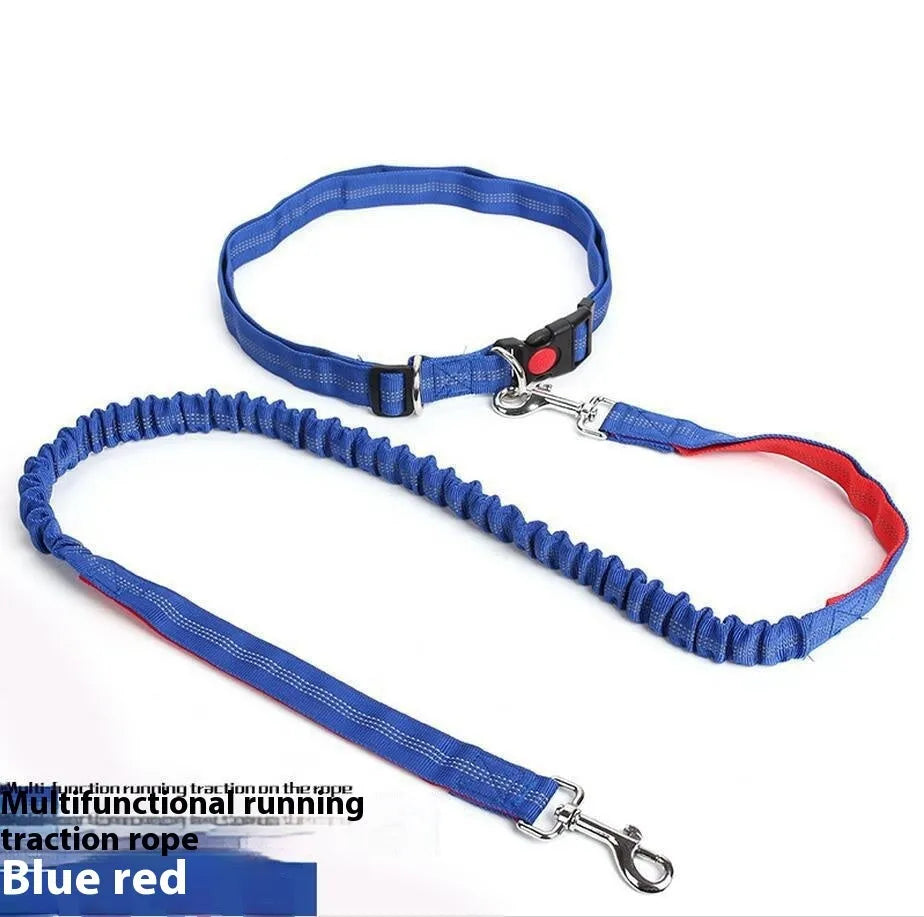 Grey and green reflective elastic dog leash with 2.5cm nylon width and clip attachment