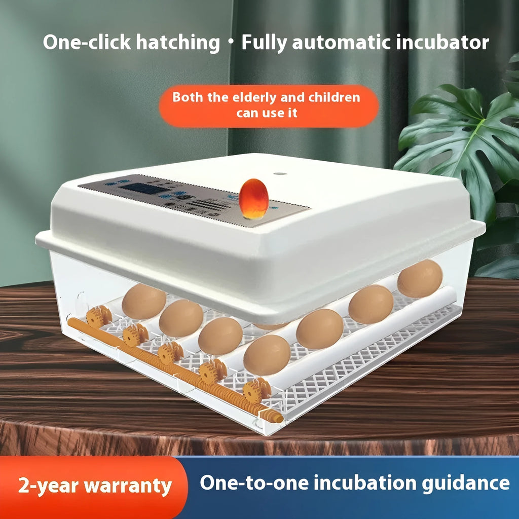 Fully automatic plastic incubator with 16 egg capacity and digital temperature control panel