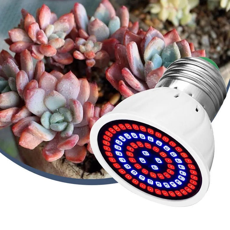 White LED plant growth lamp with 80 beads for indoor potted plants up to 80 square centimetres