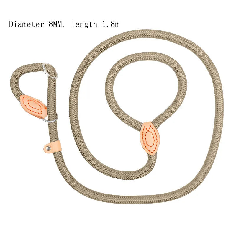 Blast race training dog leash with automatic tightening rope collar in multiple colours