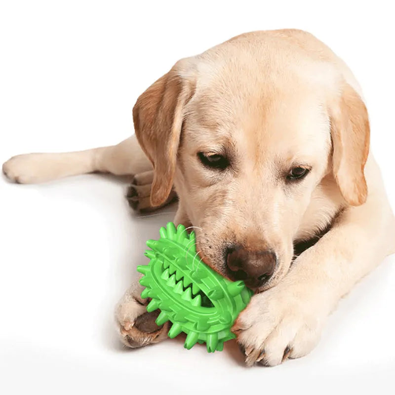 Green or yellow cactus-shaped dog chew toy for dental cleaning, made from durable rubber.