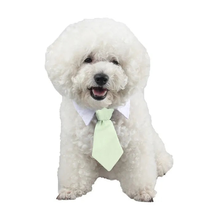 Cloth pet bow tie with cartoon print in twelve colours and two sizes 31cm and 38cm