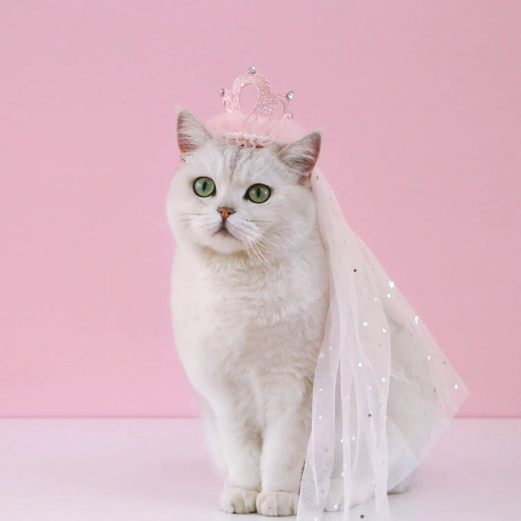 Pet wearing princess crown headdress with floral decoration and attached veil