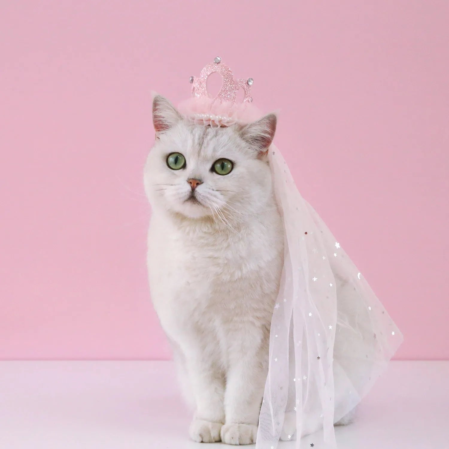 Pet wearing princess crown headdress with floral decoration and attached veil