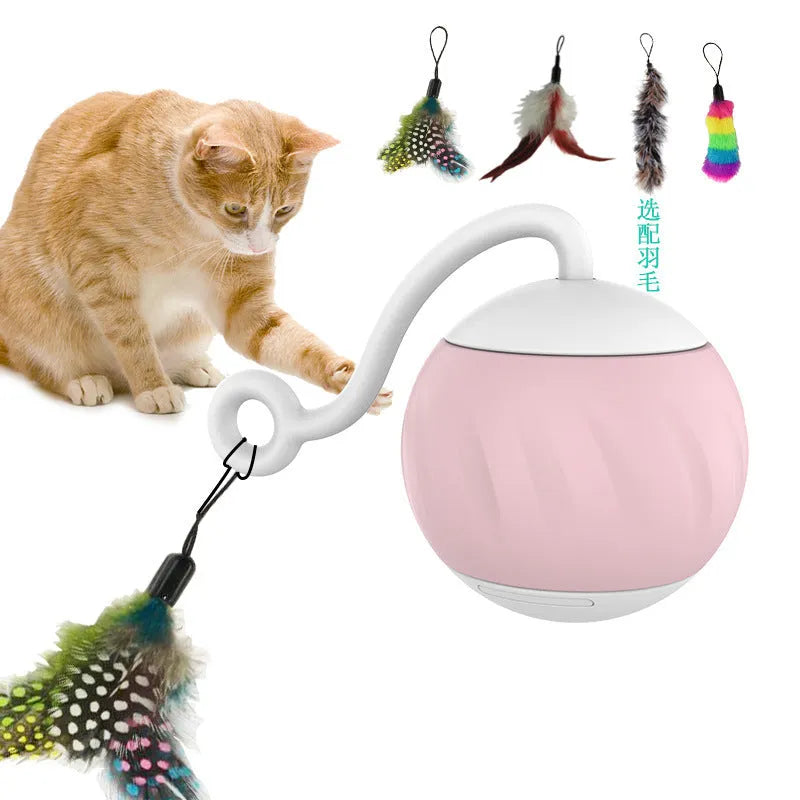 Electric cat toy ball with luminous design in watermelon or pumpkin pattern