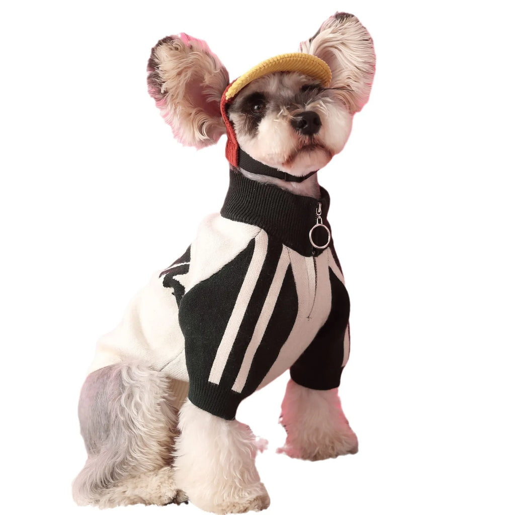 Red wool blend sports cardigan for male puppy dog on mannequin