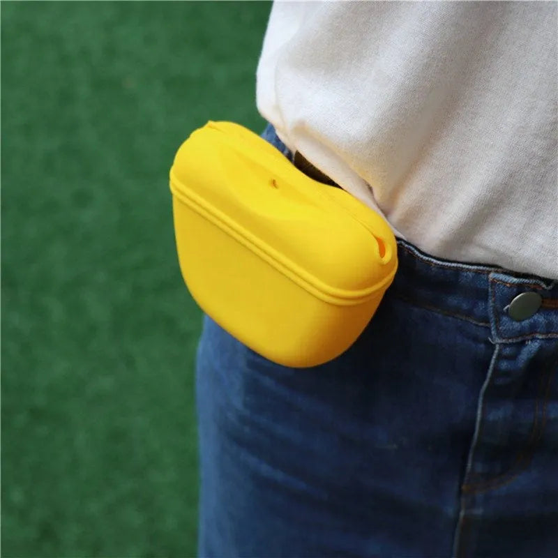Silicone dog treat training bag with clip for belt attachment and magnetic closure