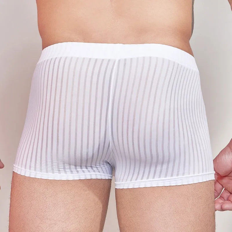 Men's thin transparent striped nylon underwear in black, white, and dark grey.