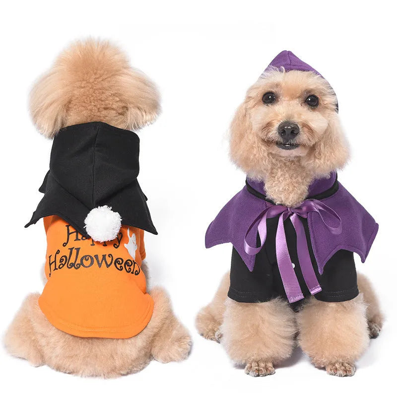 Black and orange pumpkin themed two-piece dog costume with sweater and shawl