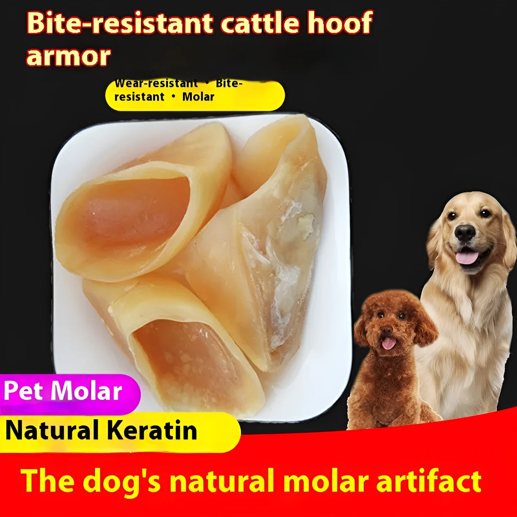 Natural cowhide dog grinding rod chew toy in hoof shell colour for small and medium-large dogs