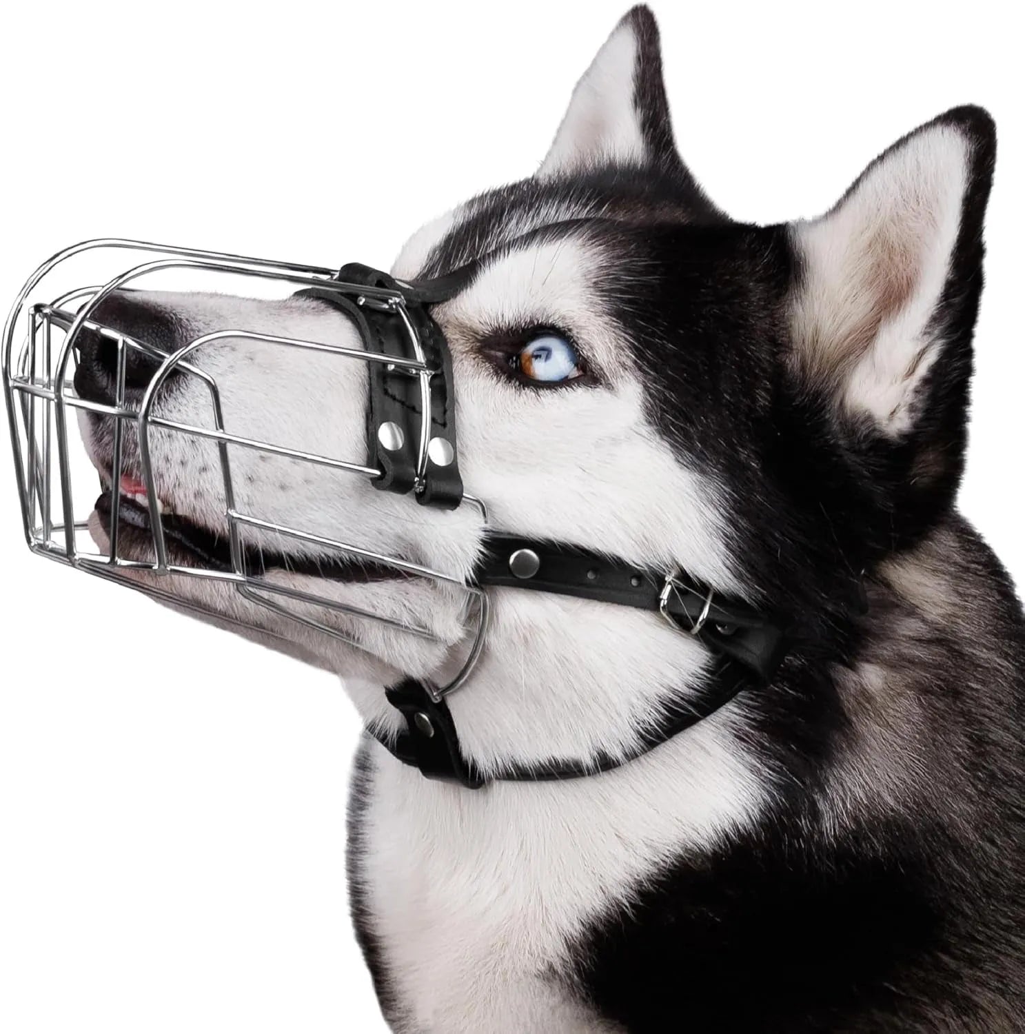 Black metal dog muzzle for golden retriever or German shepherd breeds