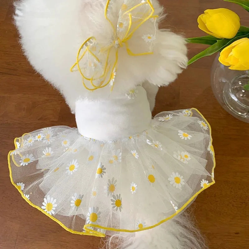 Yellow daisy pattern dog clothes on pet, lightweight polyester summer outfit