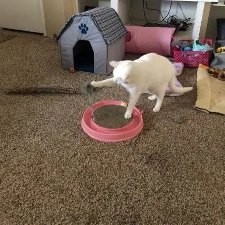 Blue cat scratcher with circular ball track and replaceable cardboard scratching surface