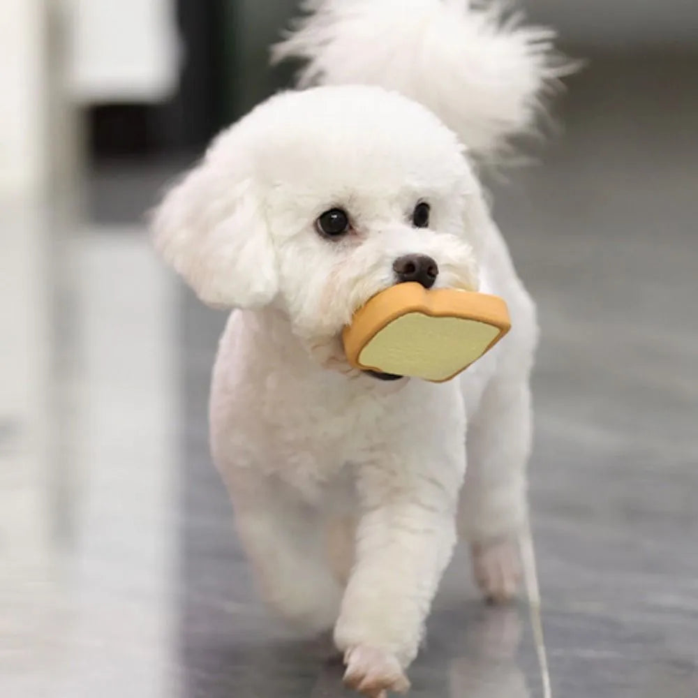 Yellow and green bread-shaped latex dog squeaky toy with cartoon pattern on a white background.
