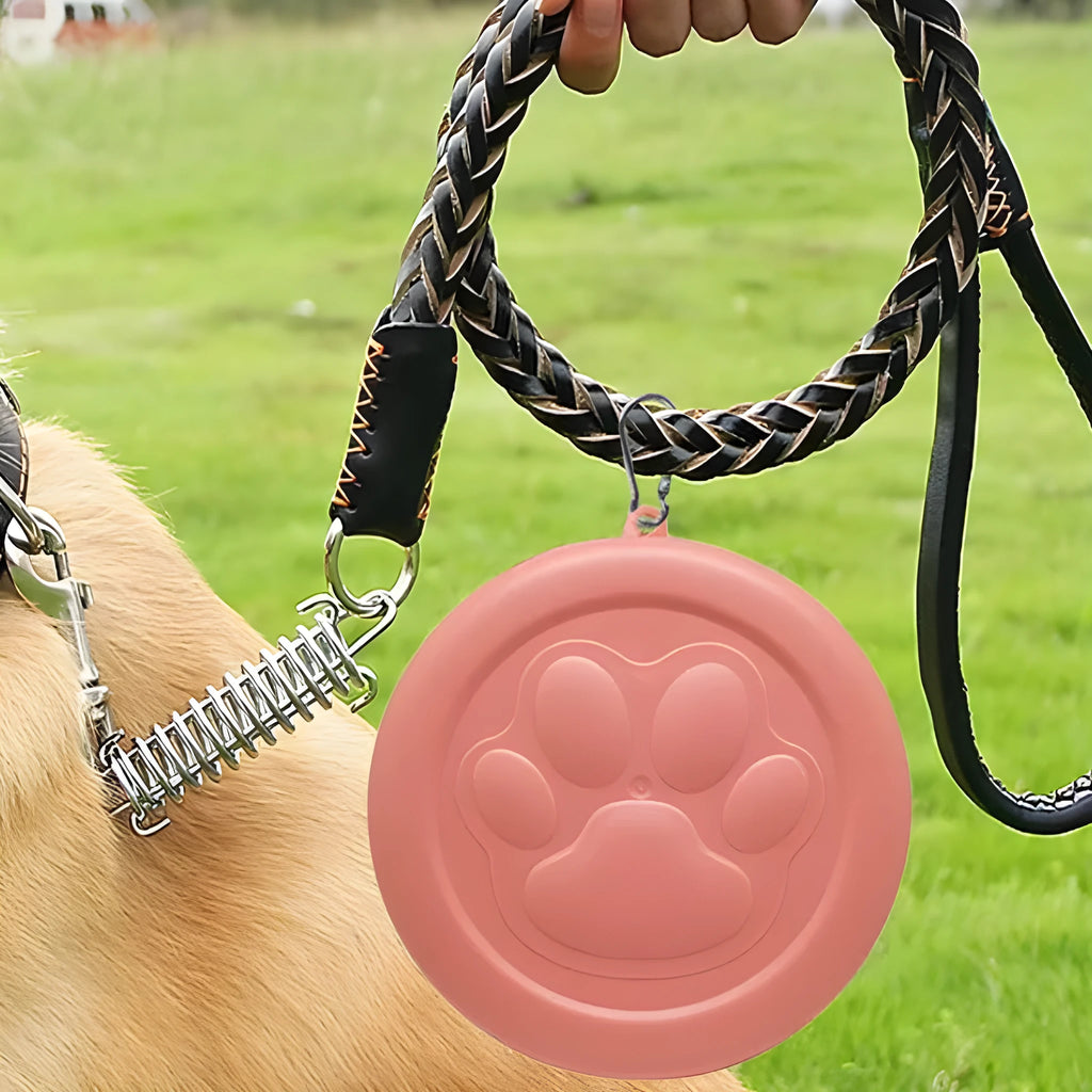 Portable foldable dog bowl with two compartments for food and water in light green colour
