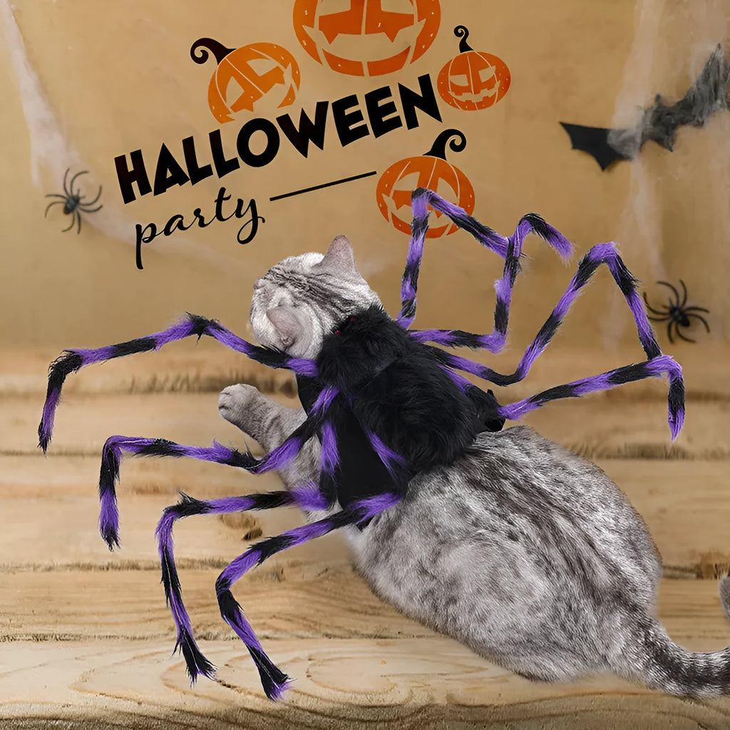 Halloween spider pet costume for dogs and cats in black and purple full-body design